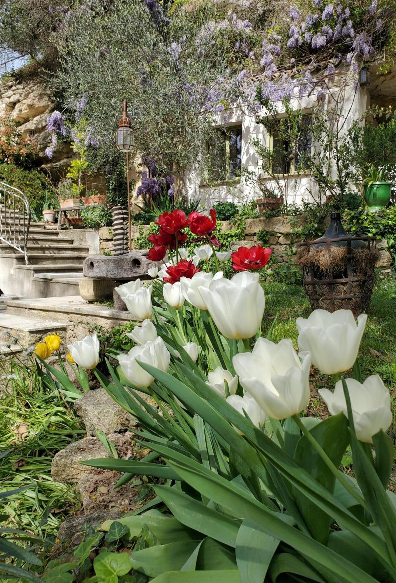 Moulin De Bonfilhon Bed & Breakfast Cornillon-Confoux Luaran gambar